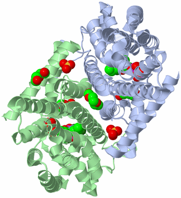 Image Biological Unit 1