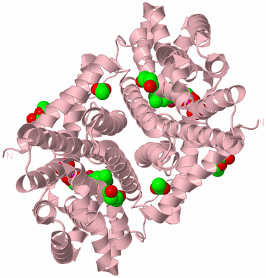 Image Biological Unit 2