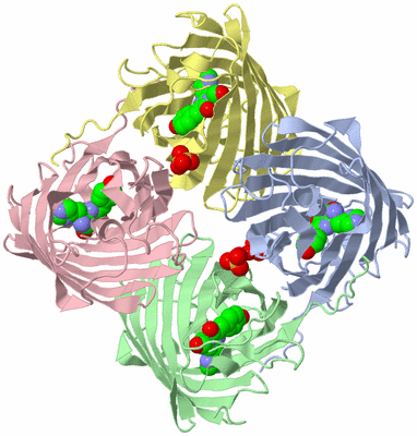 Image Asym./Biol. Unit