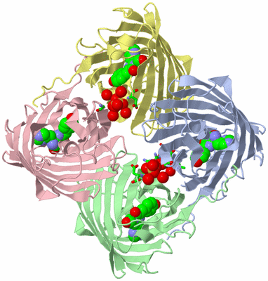 Image Asym./Biol. Unit - sites