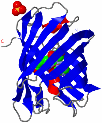 Image Asymmetric Unit