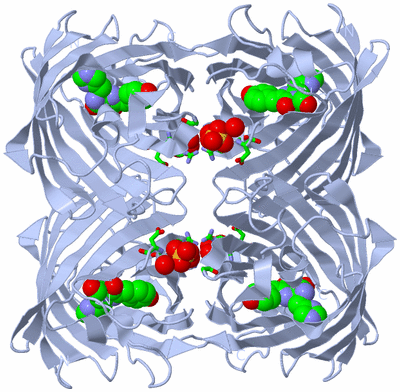 Image Biol. Unit 1 - sites