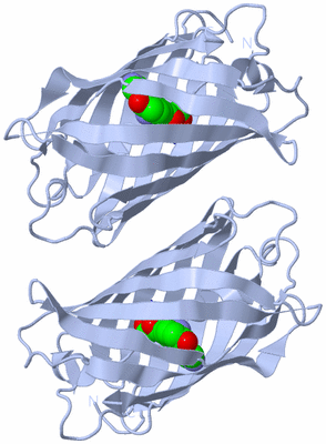 Image Biological Unit 1