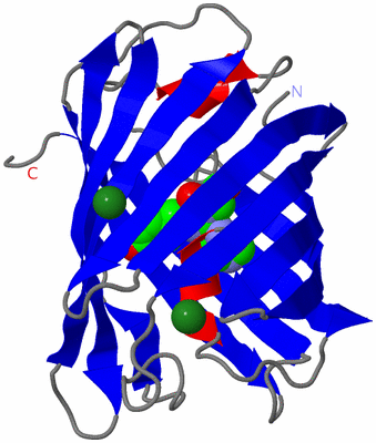 Image Asymmetric Unit