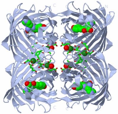 Image Biol. Unit 1 - sites