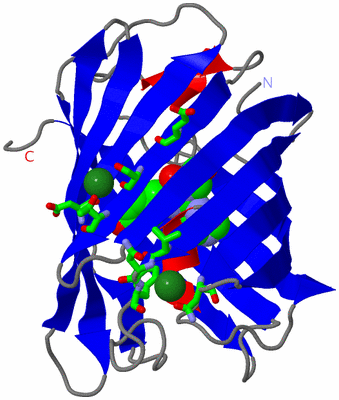 Image Asym. Unit - sites