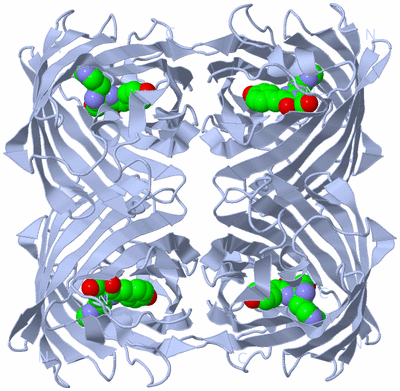 Image Biological Unit 1