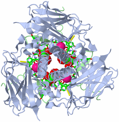 Image Biol. Unit 1 - sites