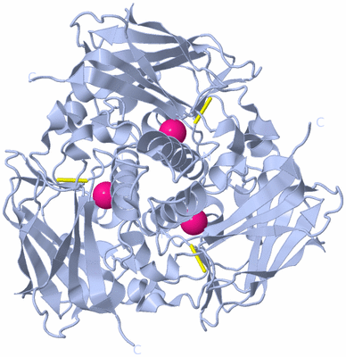 Image Biological Unit 1