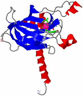 Image Asym. Unit - sites