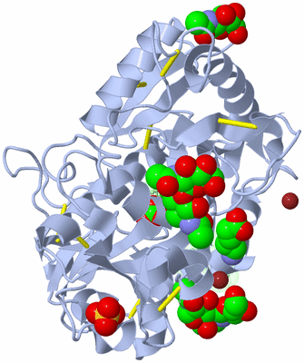 Image Asym./Biol. Unit