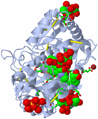 Image Asym./Biol. Unit - sites