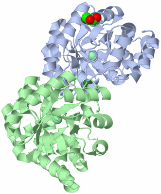 Image Asym./Biol. Unit