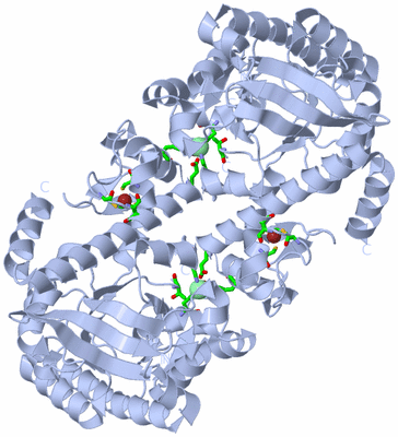 Image Biol. Unit 1 - sites