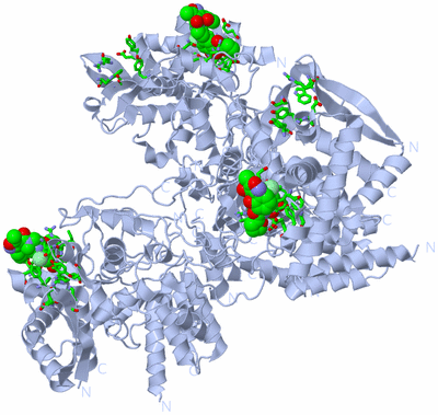 Image Biol. Unit 1 - sites