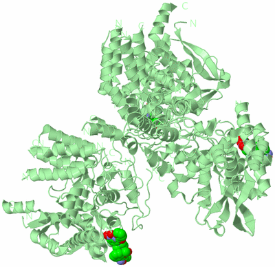 Image Biological Unit 2