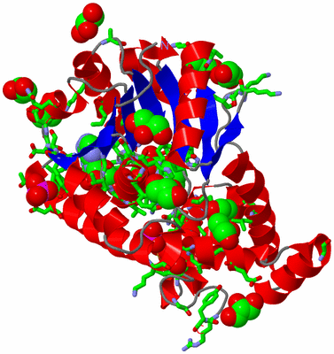 Image Asym. Unit - sites