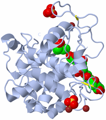 Image Biological Unit 1