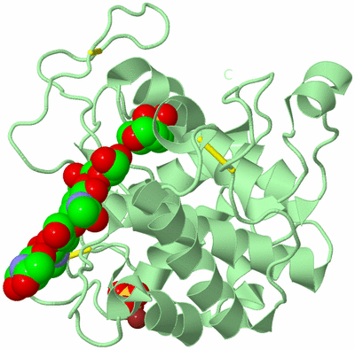 Image Biological Unit 2