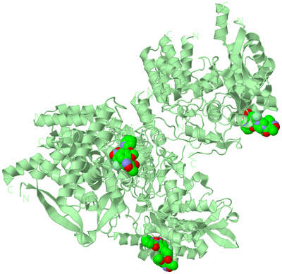 Image Biological Unit 2