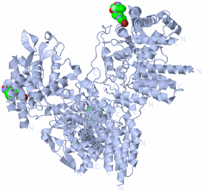 Image Biological Unit 1