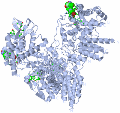 Image Biol. Unit 1 - sites