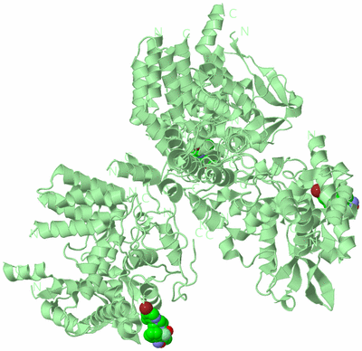 Image Biological Unit 2