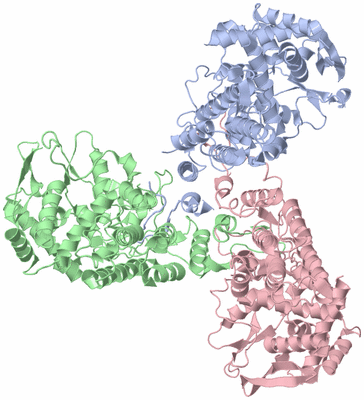 Image Asym./Biol. Unit