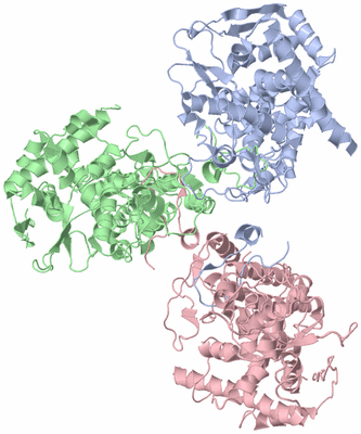 Image Asym./Biol. Unit