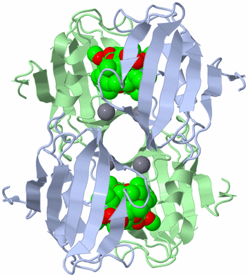 Image Biological Unit 3