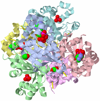 Image Asym./Biol. Unit