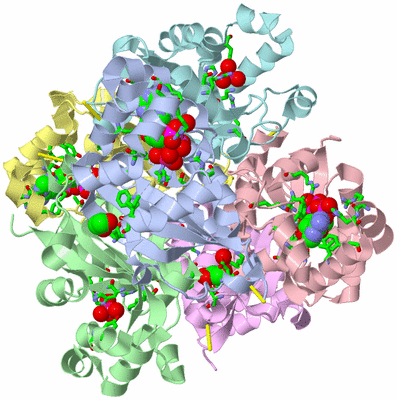 Image Asym./Biol. Unit - sites