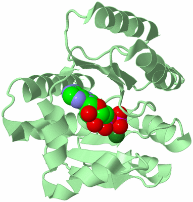 Image Biological Unit 2