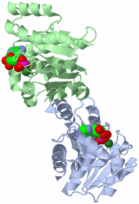 Image Biological Unit 3