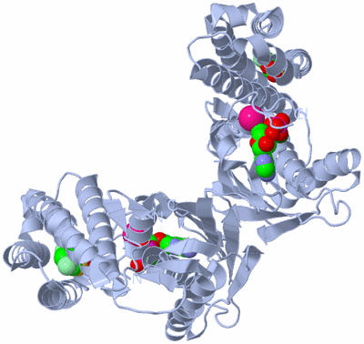 Image Biological Unit 1