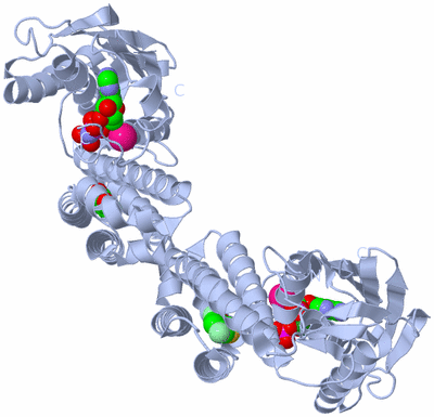 Image Biological Unit 1