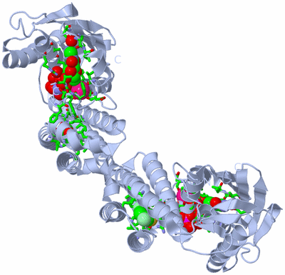 Image Biol. Unit 1 - sites