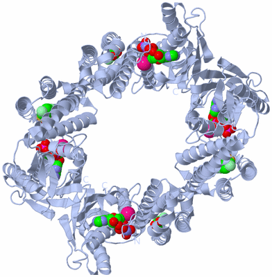 Image Biological Unit 2