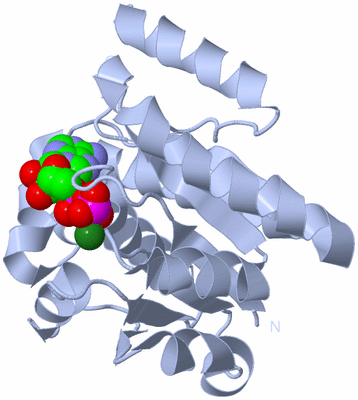 Image Biological Unit 1