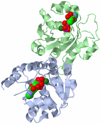 Image Biological Unit 3