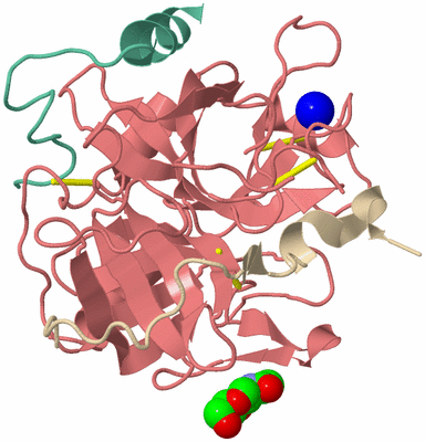 Image Asym./Biol. Unit