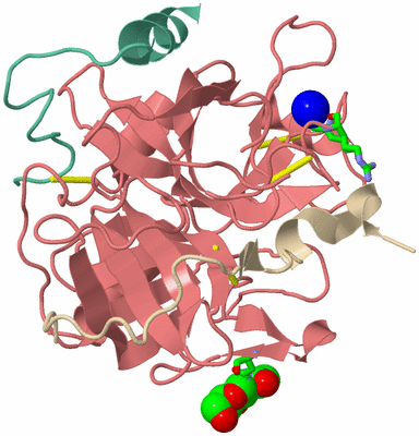 Image Asym./Biol. Unit - sites