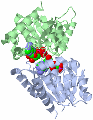 Image Biological Unit 3