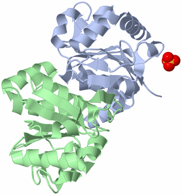 Image Asym./Biol. Unit