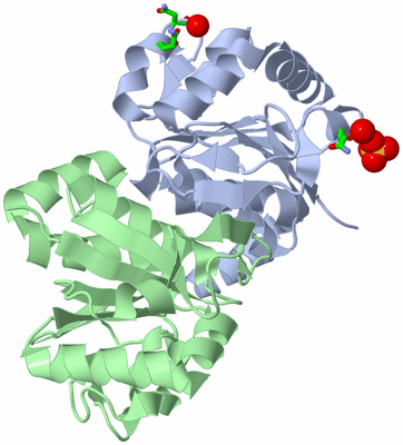 Image Asym./Biol. Unit - sites