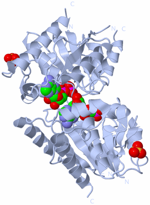 Image Biological Unit 1