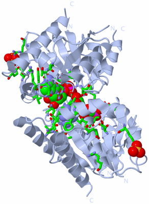 Image Biol. Unit 1 - sites