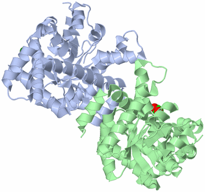 Image Asym./Biol. Unit