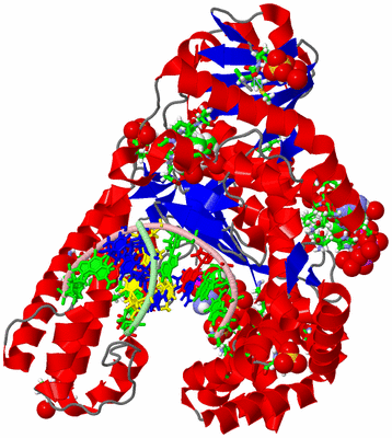 Image Asym./Biol. Unit - sites