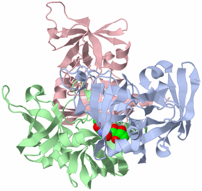 Image Asym./Biol. Unit